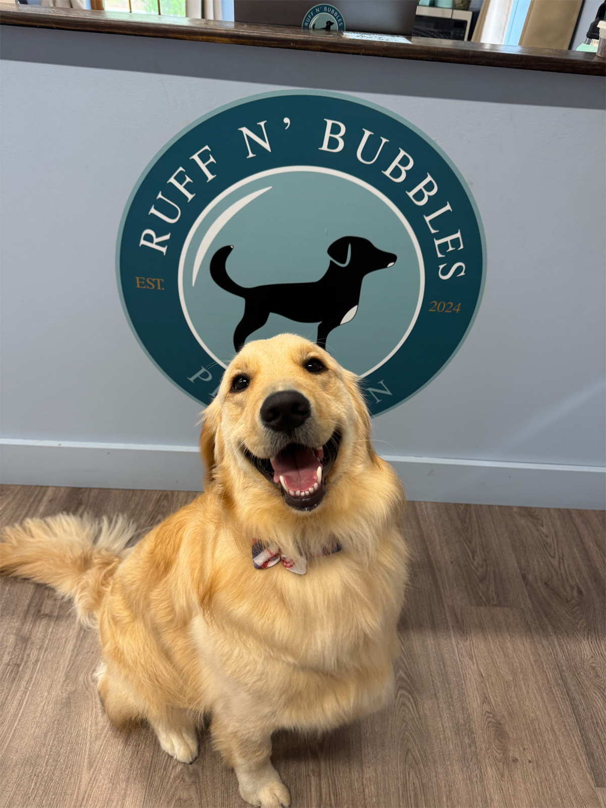 Photo of a golden doggo with our logo